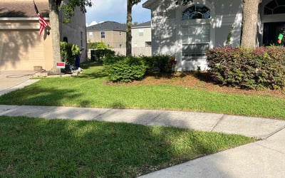 Photo of Mary M.'s yard after getting lawn care in Tampa, FL