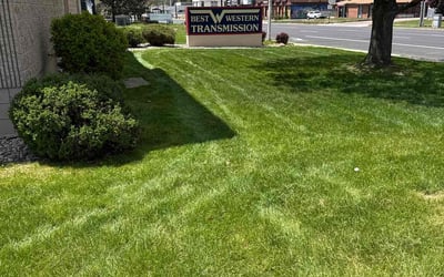 Photo of David A.'s yard after getting lawn care in Charlotte, NC