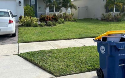 Photo of Amanda M.'s yard after getting lawn care in Litchfield Park, AZ