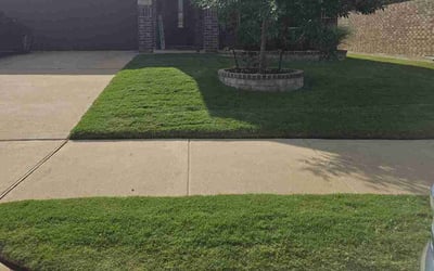 Photo of Luis H.'s yard after getting lawn care in Burleson, TX