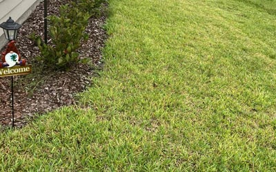 Photo of Sherica S.'s yard after getting lawn care in Green Cove Springs, FL