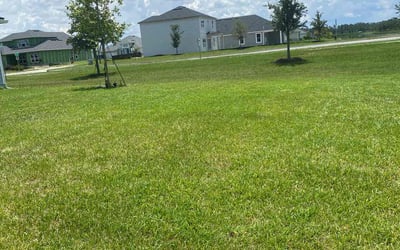 Photo of Angela A.'s yard after getting lawn care in Tulsa, OK