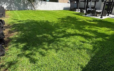 Photo of Linnie B.'s yard after getting lawn care in Metairie, LA