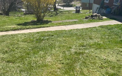 Photo of Yvonne m.'s yard after getting lawn care in Valencia, PA