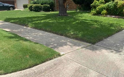 Photo of Michael M.'s yard after getting lawn care in Grand Prairie, TX