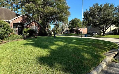 Photo of Michael G.'s yard after getting lawn care in Buckeye, AZ