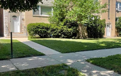 Photo of Andrew D.'s yard after getting lawn care in Tyler, TX