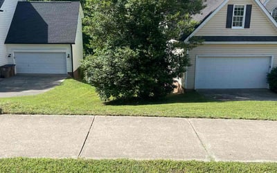 Photo of Peter N.'s yard after getting lawn care in Benson, NC