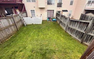 Photo of Peter L.'s yard after getting lawn care in New Rochelle, NY