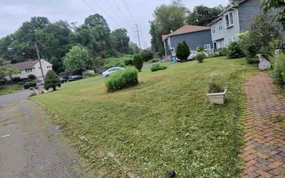 Photo of John F.'s yard after getting lawn care in Norwalk, CT
