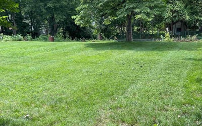 Photo of Olivia K.'s yard after getting lawn care in Monroe, GA