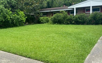 Photo of Torrie W.'s yard after getting lawn care in Orange Beach, AL