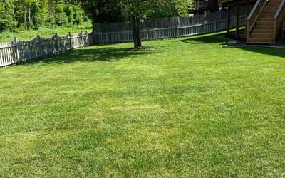 Photo of Khloe J.'s yard after getting lawn care in Poinciana, FL