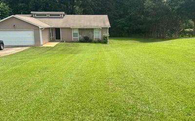 Photo of Tracy R.'s yard after getting lawn care in Loudon, TN