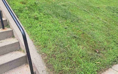 Photo of Karen R.'s yard after getting lawn care in Southbury, CT