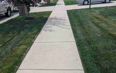 Photo of Roy B.'s yard after getting lawn care in Cedar Lake, IN