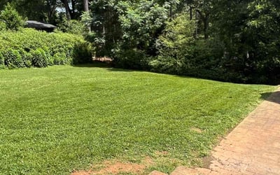 Photo of Nafeesa M.'s yard after getting lawn care in Clarkston, GA