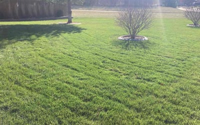Photo of Caleb P.'s yard after getting lawn care in Elkhorn, NE