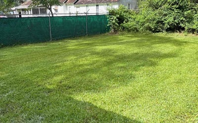 Photo of Edward J.'s yard after getting lawn care in Green Cove Springs, FL