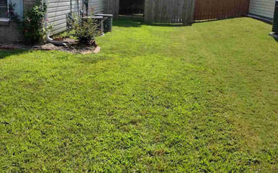 Photo of Grace N.'s yard after getting lawn care in Snellville, GA