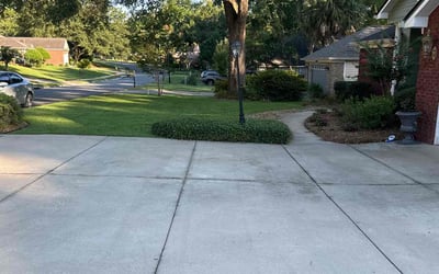 Photo of James A.'s yard after getting lawn care in Crawfordville, FL