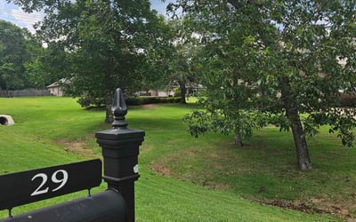 Photo of Michelle M.'s yard after getting lawn care in Menifee, CA