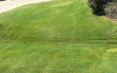 Photo of Colleen H.'s yard after getting lawn care in Kalamazoo, MI