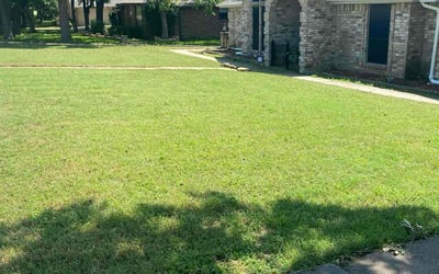 Photo of Sharon k.'s yard after getting lawn care in Ipswich, MA
