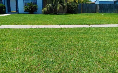 Photo of Ryan G.'s yard after getting lawn care in Albany, OR
