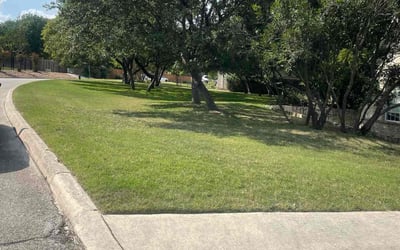 Photo of Brandon R.'s yard after getting lawn care in Floresville, TX