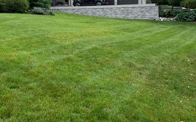 Photo of Barbara J.'s yard after getting lawn care in Burr Ridge, IL