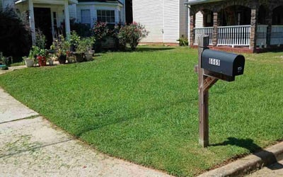 Photo of Roxanne T.'s yard after getting lawn care in Philadelphia, PA