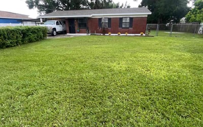 Photo of Evan H.'s yard after getting lawn care in Millville, NJ