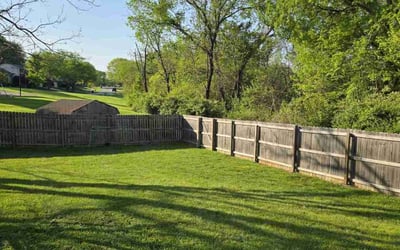 Photo of Ashley E.'s yard after getting lawn care in Louisville, KY