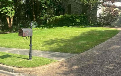 Photo of Hailee C.'s yard after getting lawn care in Gulf Breeze, FL