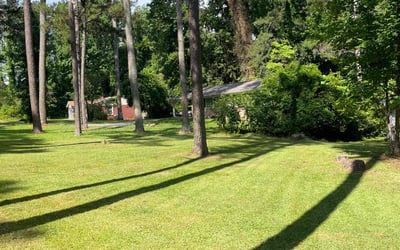 Photo of Michelle K.'s yard after getting lawn care in Joplin, MO