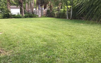 Photo of Michael S.'s yard after getting lawn care in Denham Springs, LA