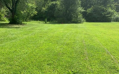 Photo of Michelle O.'s yard after getting lawn care in Spring Lake, NC
