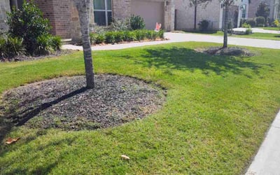 Photo of Expedito L.'s yard after getting lawn care in South Bend, IN