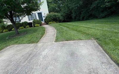 Photo of Luis N.'s yard after getting lawn care in South Richmond Hill, NY