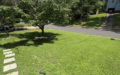 Photo of Elisha J.'s yard after getting lawn care in Camden, NJ
