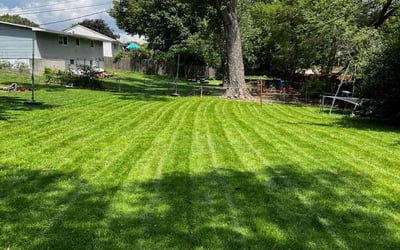 Photo of John N.'s yard after getting lawn care in Avon, IN