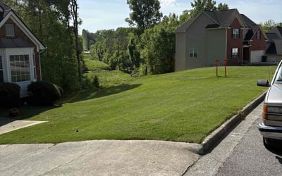 Photo of Greg B.'s yard after getting lawn care in Mableton, GA