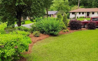 Photo of Justin G.'s yard after getting lawn care in Aiken, SC