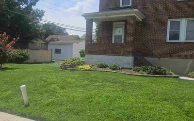 Photo of Elizabeth S.'s yard after getting lawn care in Crawfordville, FL
