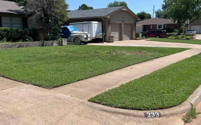 Photo of Cindi A.'s yard after getting lawn care in Colorado Springs, CO