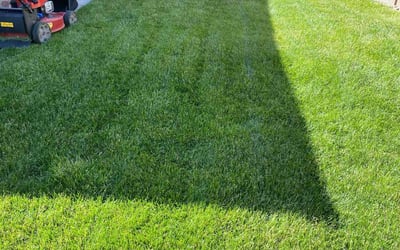 Photo of Susan S.'s yard after getting lawn care in Rossville, GA