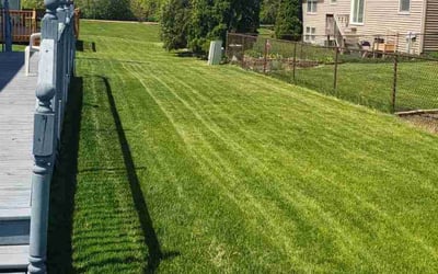 Photo of Corinne B.'s yard after getting lawn care in Lombard, IL