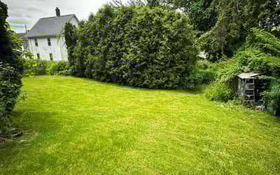Photo of Brooke W.'s yard after getting lawn care in Ansonia, CT