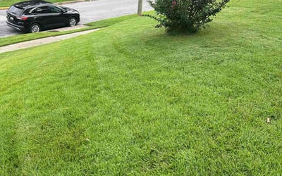 Photo of Robin K.'s yard after getting lawn care in Mishawaka, IN
